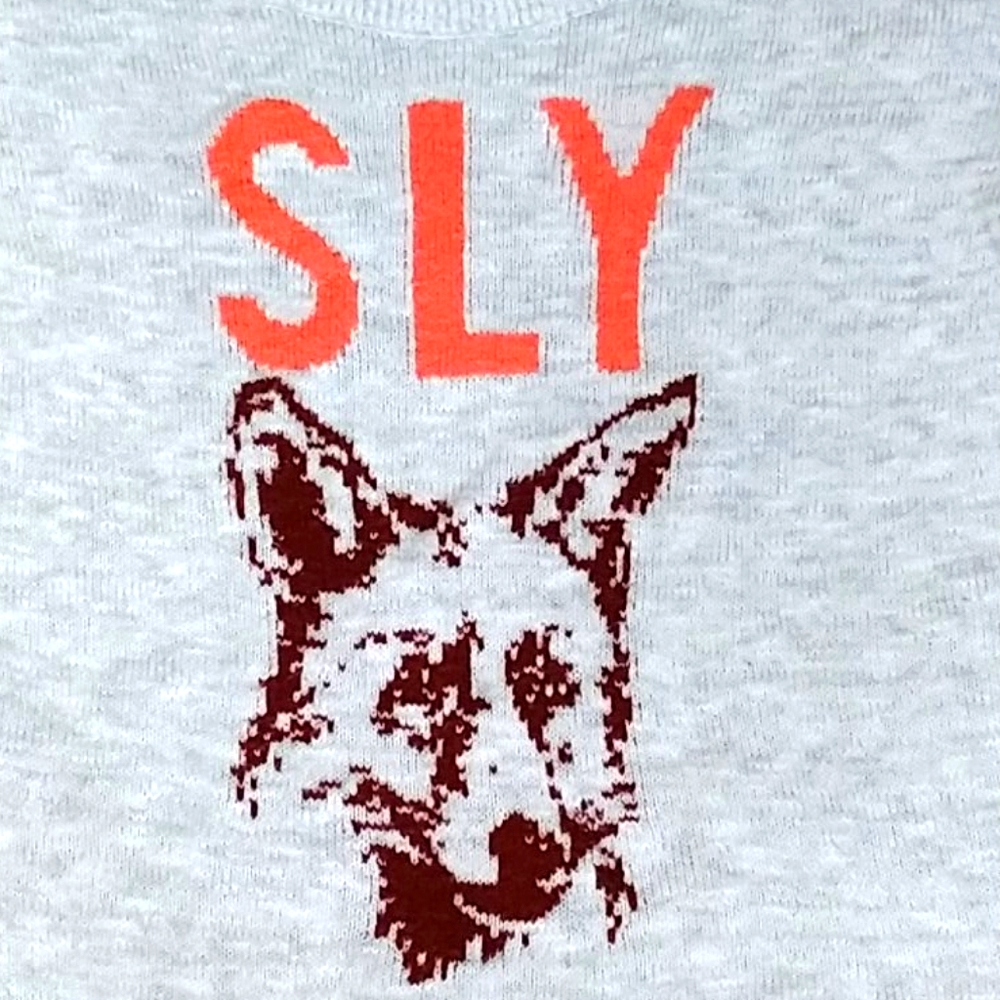 Sly Fox Sweater Pullover Hollister Size S
